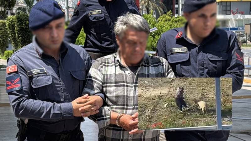 Görüntüleri Tepki Çekmişti: Antalya'da Koyuna Eziyet Eden Şüpheli Tutuklandı